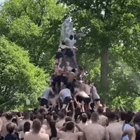 Naval Academy GIF by Storyful
