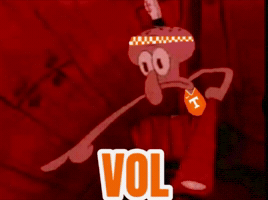 Tennessee Volunteers GIF