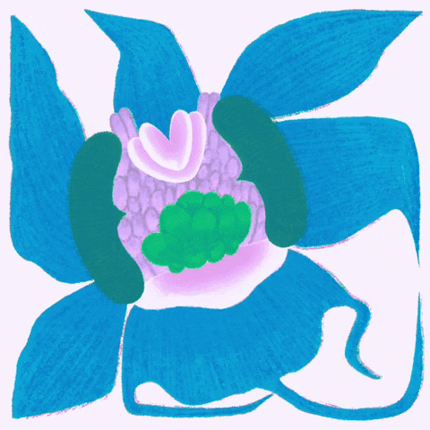 Orchid GIF