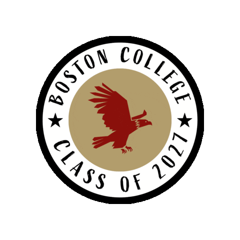 College Eagles Sticker by BostonCollege