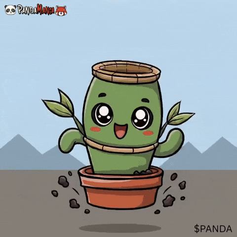 Happy Lets Go GIF by PandaMania