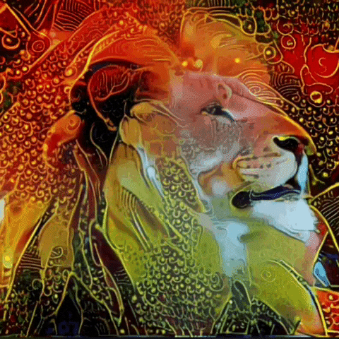 Lion Of Judah GIF
