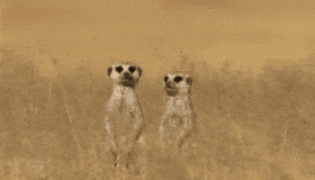 200.gif?cid=f0bdee7072pa0f17i02ndydv28zucg5zc1744kbtq3rf18lz&rid=200.gif&ct=g