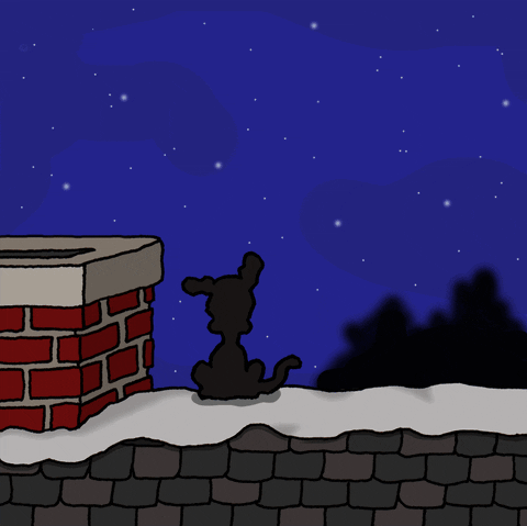 Christmas Eve GIF by Chippy the Dog