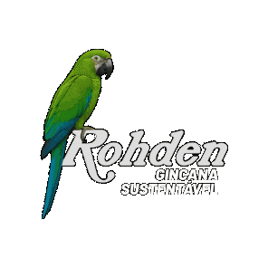 Gincana Sticker by Rohden