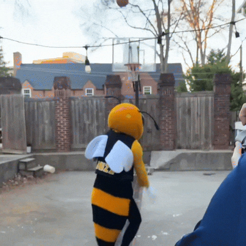 Buzz GIF