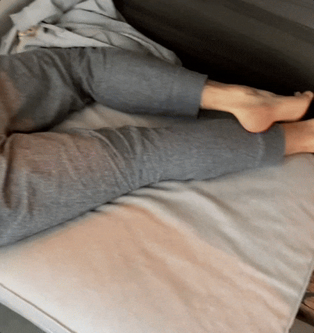 French Bulldog Hug GIF