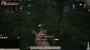 Cheval GIF