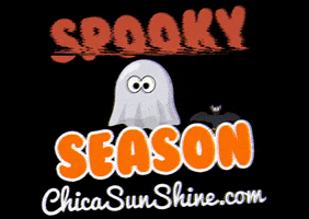 Trick Or Treat Halloween GIF by ChicaSunshineShop