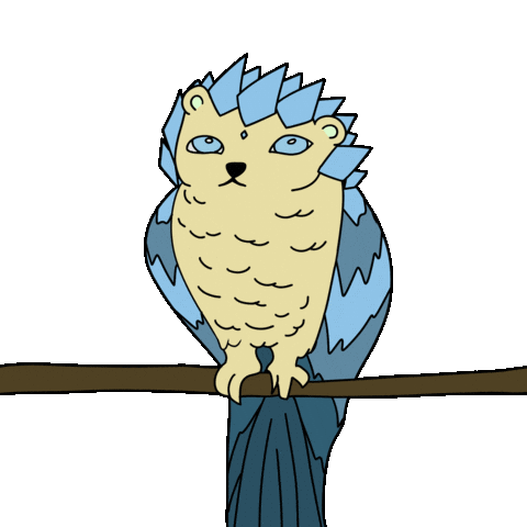 Cat Owl Sticker