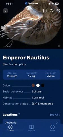 Seabook GIF
