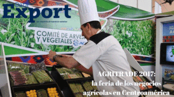 DataExport data export GIF