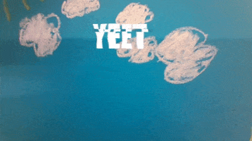 Yeet GIF by Beam it Up