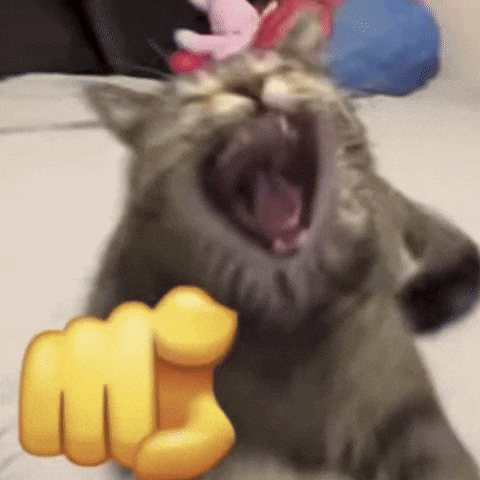 Got You Laughing GIF