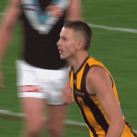 Hawthorn Hawks Afl GIF