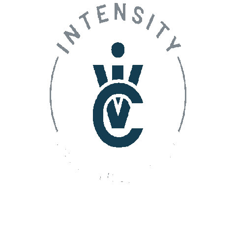 iVC Volleyball Sticker