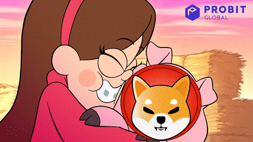 Gravity Falls Crypto GIF by ProBit Global thumbnail