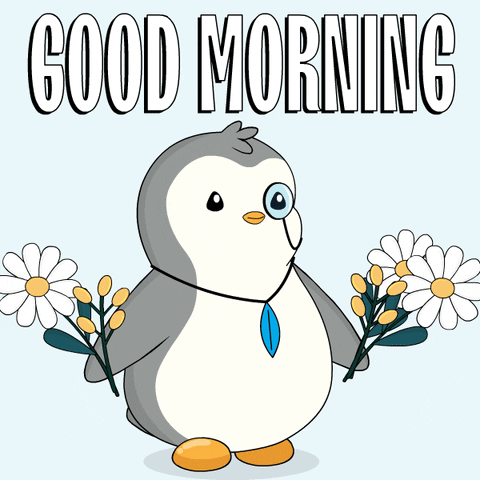 Good Morning GIF by Pudgy Penguins