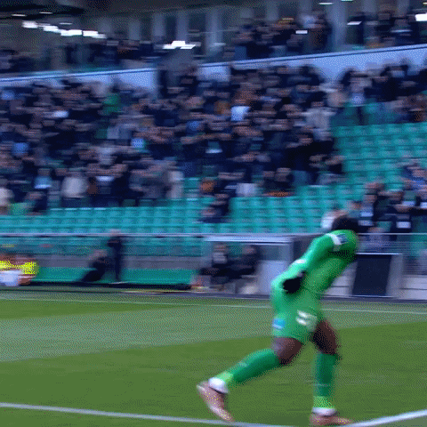 Jean-Philippe Sport GIF by AS Saint-Étienne