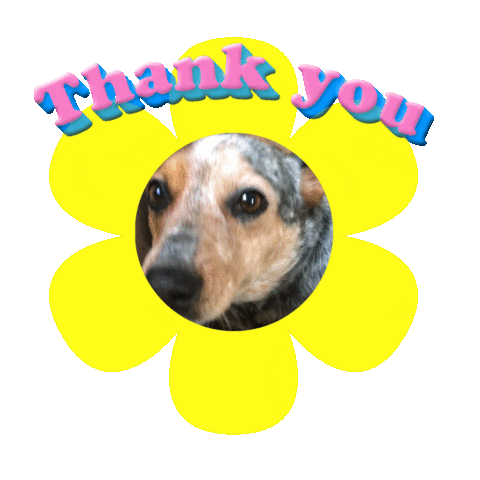 Dog Thank You Sticker by giphystudios2022