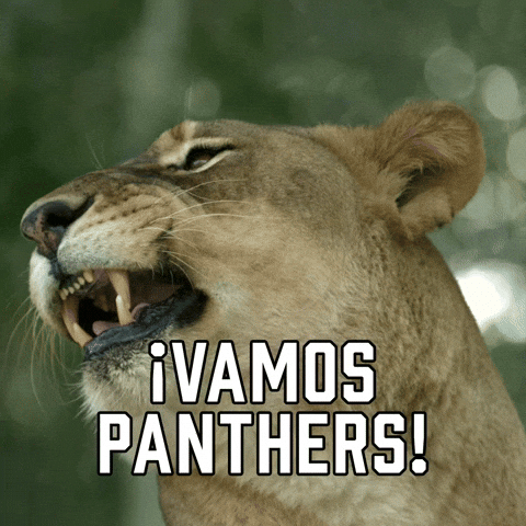 Florida Panthers Sport GIF by Sealed With A GIF