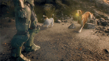 Master Chief Game GIF by Halo