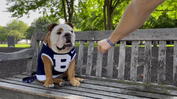 Happy Lets Go GIF by Butler University
