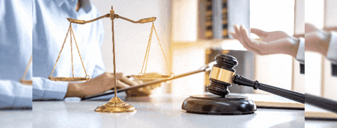 William West Seegmiller GIF