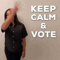 Election 2020 Vote GIF by Hannah Bronfman 