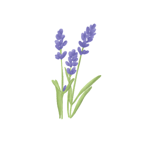 Cottage GIFs on GIPHY - Be Animated