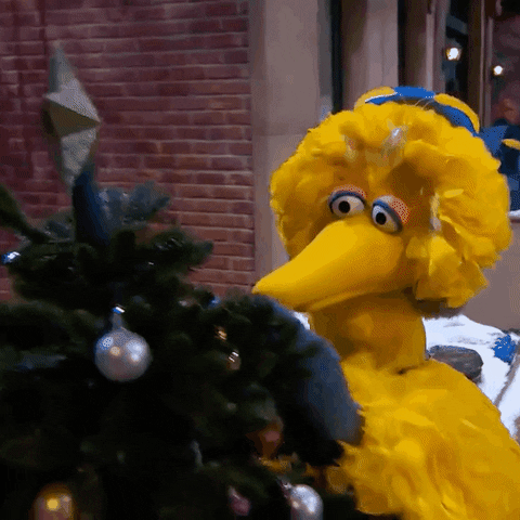 Decorate Christmas Tree GIF by Sesame Street
