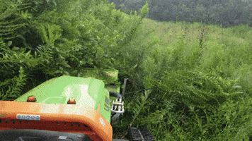 Into The Woods Rc GIF by Green Climber North America