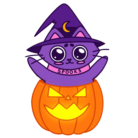Jack O Lantern Halloween Sticker by Spooks the Cat