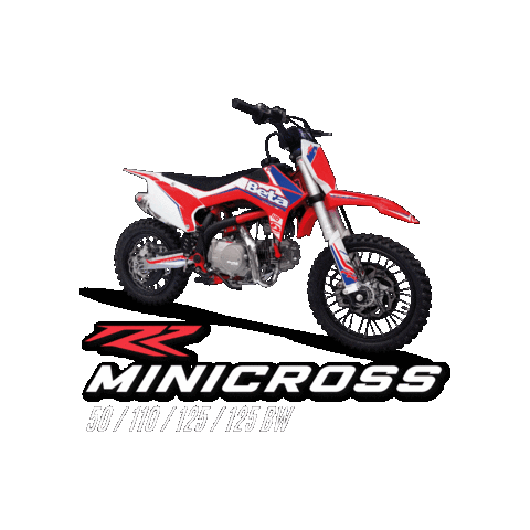 Beta Sticker by Betamotor Argentina