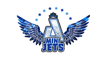 Minijets Sticker by AirbornAllstars