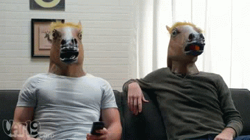 Horse Reaction GIF - Find & Share on GIPHY