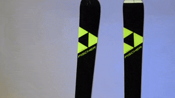Skiing Alpine GIF by U.S. Ski & Snowboard Team