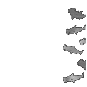 Diving サメ Sticker by AOIRUKA