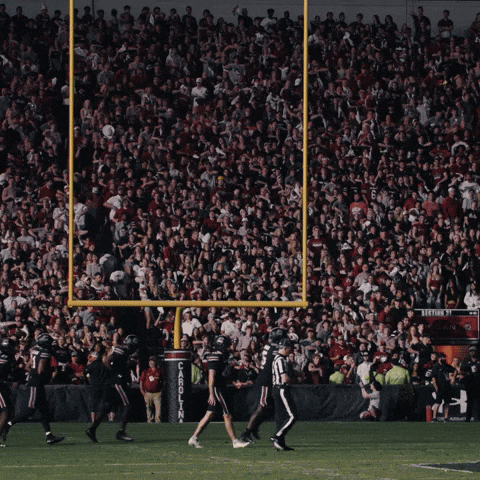 South Carolina Football GIF by Gamecock Athletics