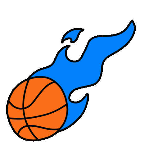 New York Basketball Sticker