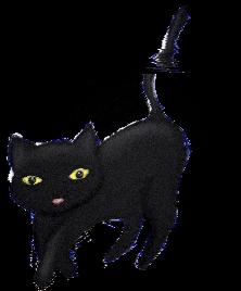 Mitsukoandco cat halloween blackcat mitsukoandco GIF