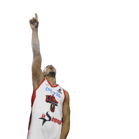 Basketball Celebration Sticker by Sporter