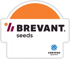 GIF by Brevant Seeds US