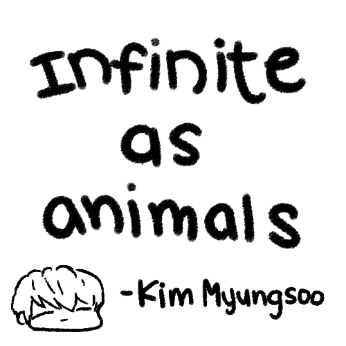 infinite cat