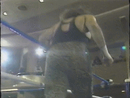 Wcw GIF