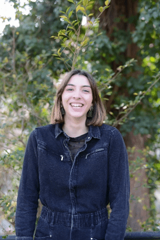 GIF by WILD ARCHITECTURE