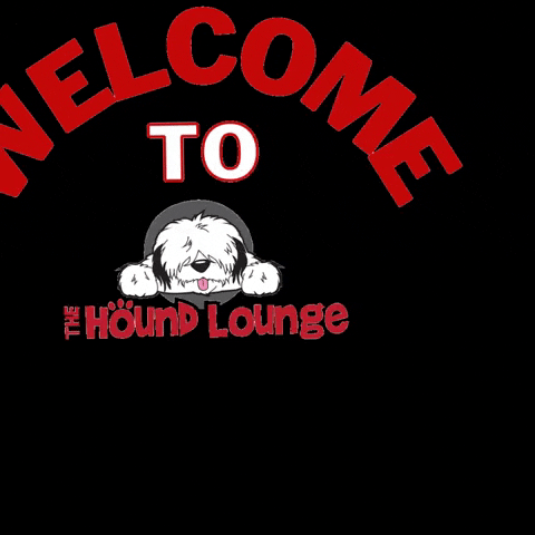 Welcome To Dog GIF by The Hound Lounge