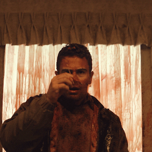 Horror Themonkey GIF