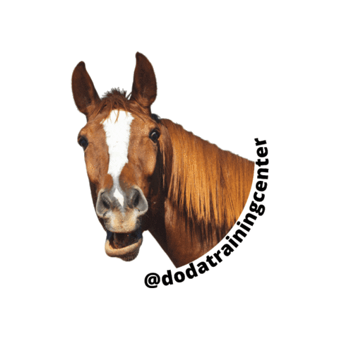 Doda Training Center Sticker