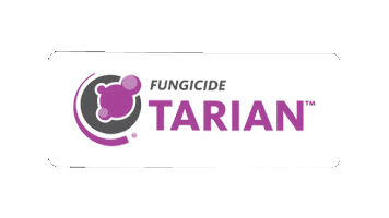 Agriculture Tarian Sticker by Wilbur-Ellis Agribusiness